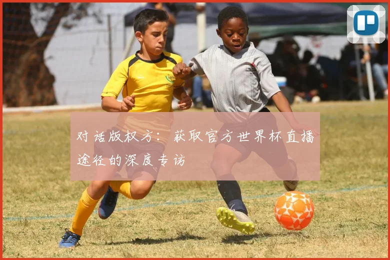 对话版权方：获取官方世界杯直播途径的深度专访