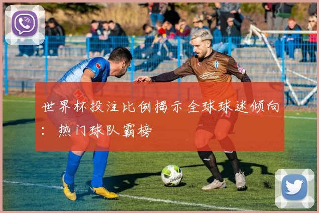 世界杯投注比例揭示全球球迷倾向：热门球队霸榜