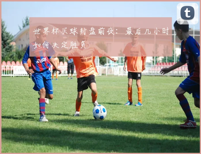 世界杯买球封盘前夜:最后几小时如何决定胜负