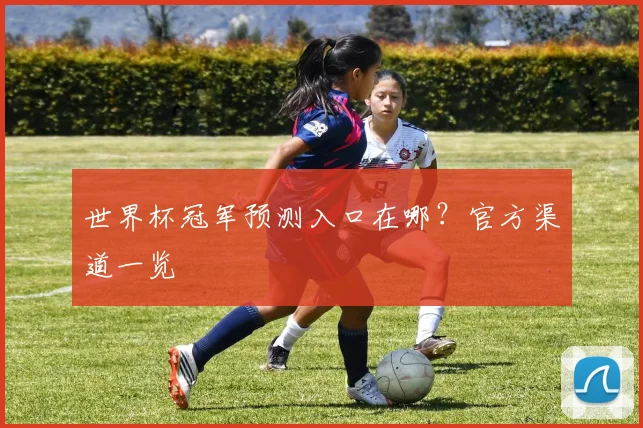 世界杯冠军预测入口在哪?官方渠道一览